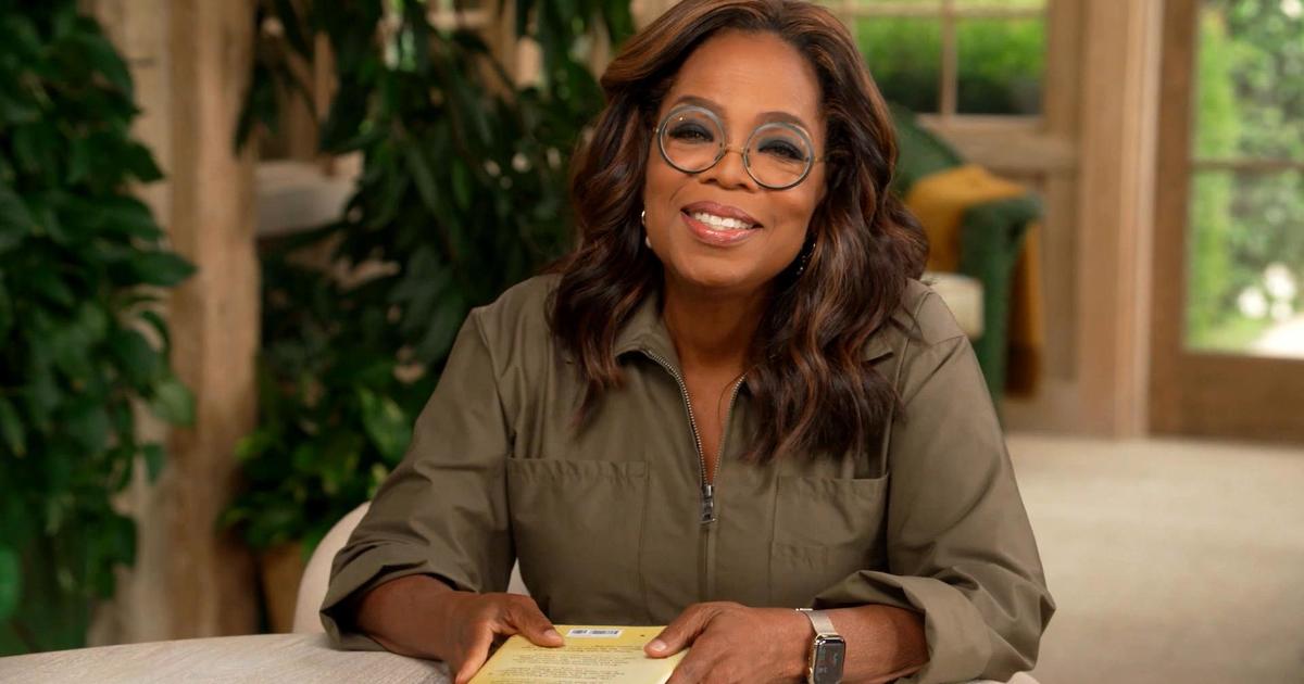 A guide for "Let Us Descend," chosen by Oprah for her book club members.