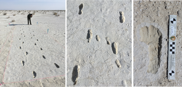Scientists say they've confirmed fossilized human footprints found in New Mexico are between 21,000 and 23,000 years old