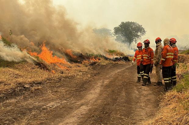 "Out of control" wildfires are ravaging Brazil's wildlife-rich Pantanal wetlands