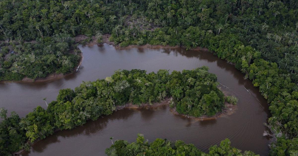 A defender of the Peruvian rainforest was killed while returning from an environmental workshop.