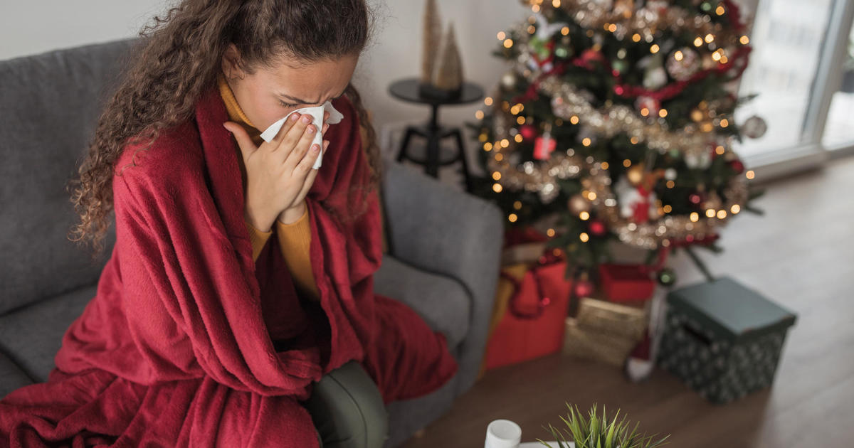 Is your Christmas tree causing allergies? What experts say about "Christmas Tree Syndrome"