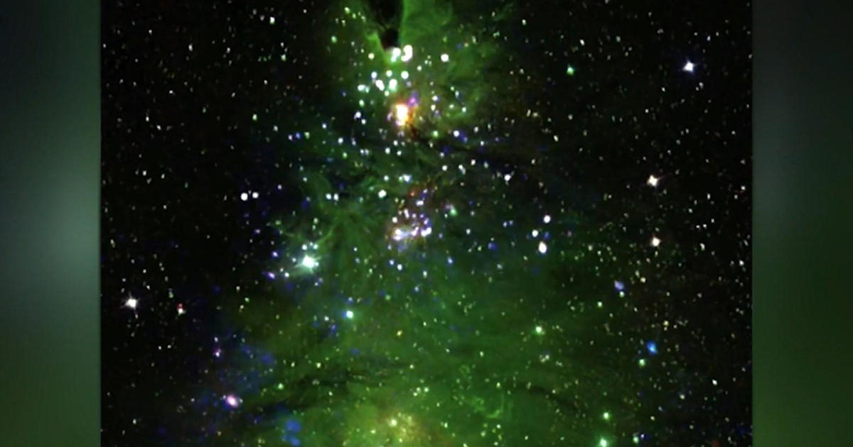 NASA has released a striking new photo of the "Christmas Tree Cluster".