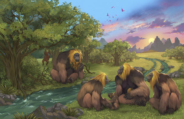 This illustration provided by researchers depicts Gigantopithecus blacki in a forest in the Guangxi region of southern China. 