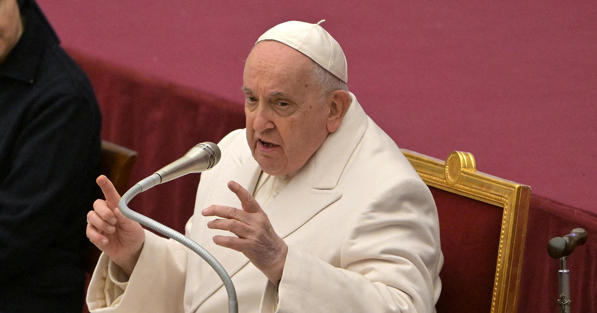 The Vatican has announced that Pope Francis will not be holding his scheduled audience due to a mild case of the flu.