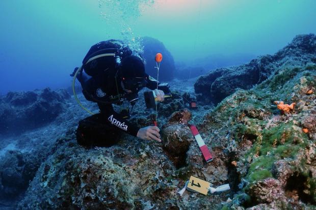 10 shipwrecks dating from 3000 BC to the World War II era found off the coast of Greece