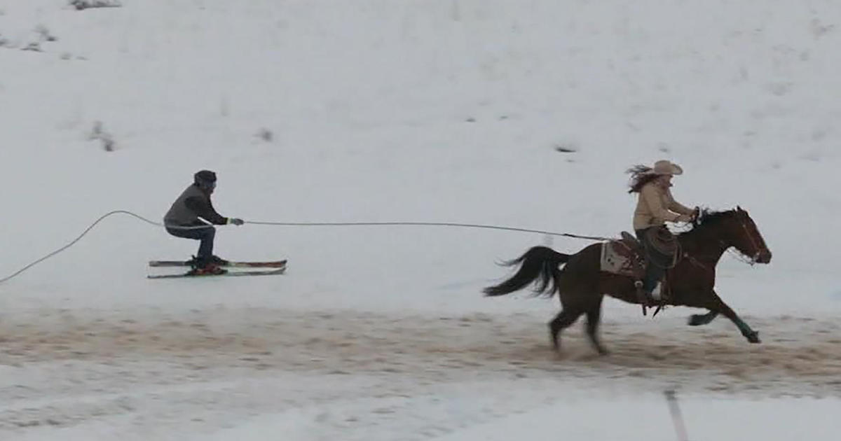 Examining the winter activity of skijoring.