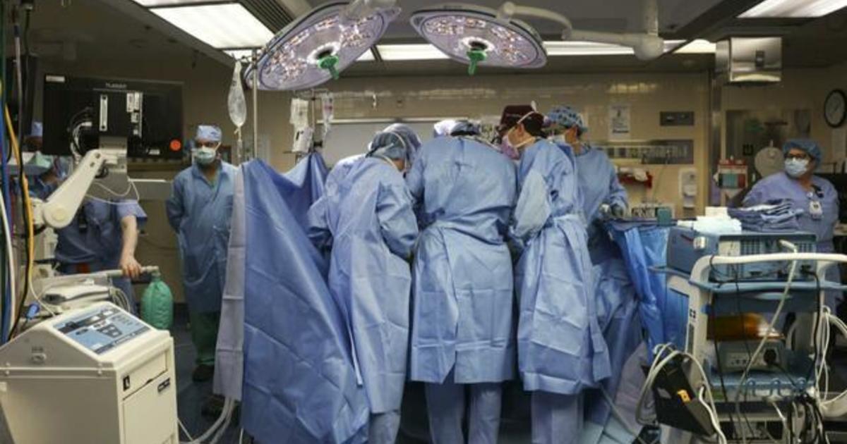 Groundbreaking pig-to-human kidney transplant performed at Massachusetts hospital