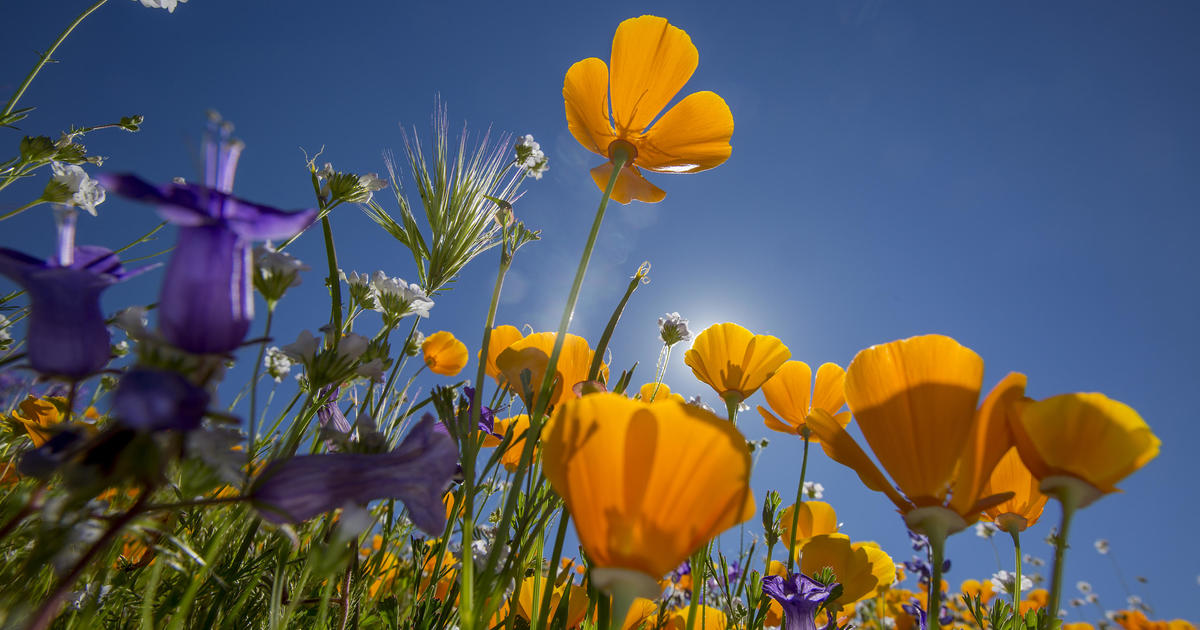 When does spring officially begin in the year 2024? What should be understood about the vernal equinox?