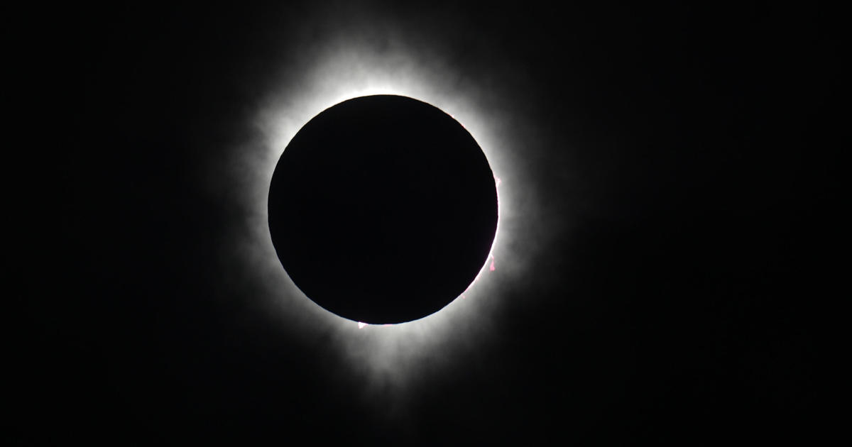 Missed the 2024 total solar eclipse? Watch video of moments from the event here.