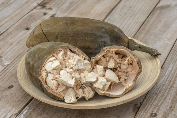 Baobab fruit or Adansonia digitata on plate, pulp and powder, superfood on the island of Zanzibar, Tanzania, east Africa. Closeup 