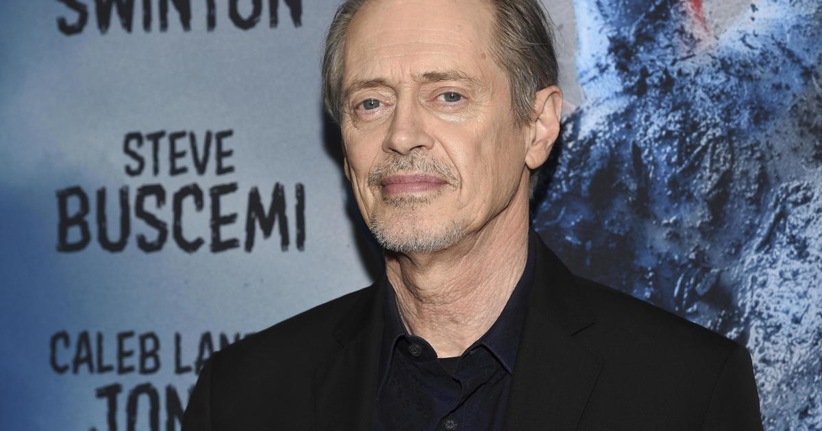 Suspect in custody in New York City attack on actor Steve Buscemi. Here's what we know.