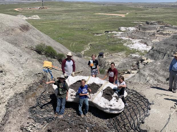 Rare juvenile T. rex fossil found by children in North Dakota to go on display in Denver museum