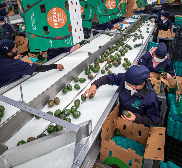 U.S. halts avocado and mango inspections in a Mexican state after 2 USDA employees attacked, detained