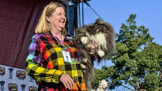 Wild Thang wins world's ugliest dog contest in Petaluma