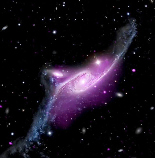 NASA releases never-seen-before images of Peacock galaxy 25 years after launch of Chandra X-ray Observatory