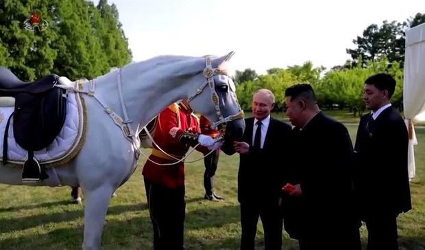 kim-putin-feed-horse.jpg 