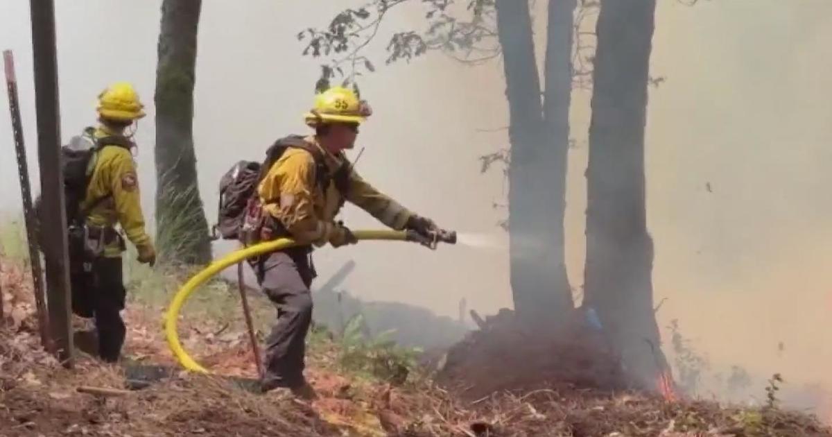 Wildfire smoke linked to heightened risk of dementia diagnosis, new California research finds