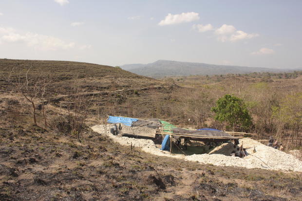 Discovery of "hobbit" fossils suggests tiny humans roamed Indonesian islands 700,000 years ago