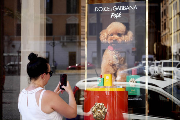 Dolce & Gabbana launches $108 dog cologne, raising hackles of some vets and pet owners