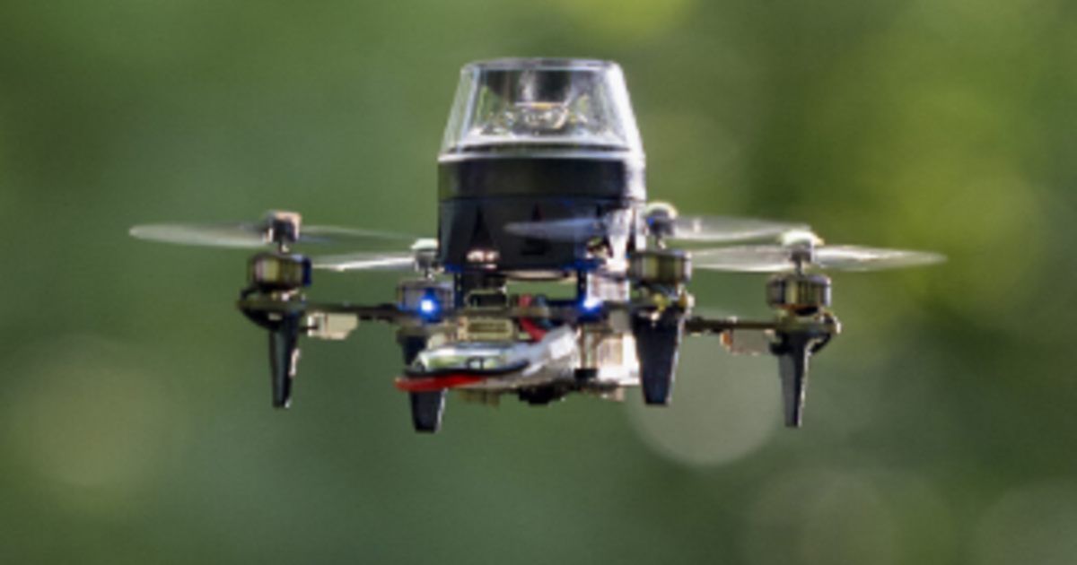 Swarms of miniscule drones mimicking insects being tried for dangerous human tasks