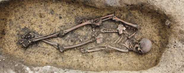 50 "exceptionally well-preserved" Viking skeletons unearthed in Denmark