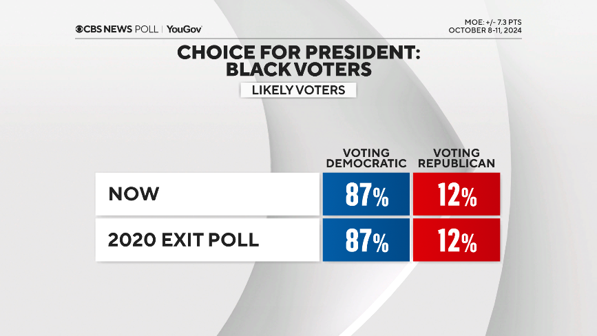 black-voter.png 