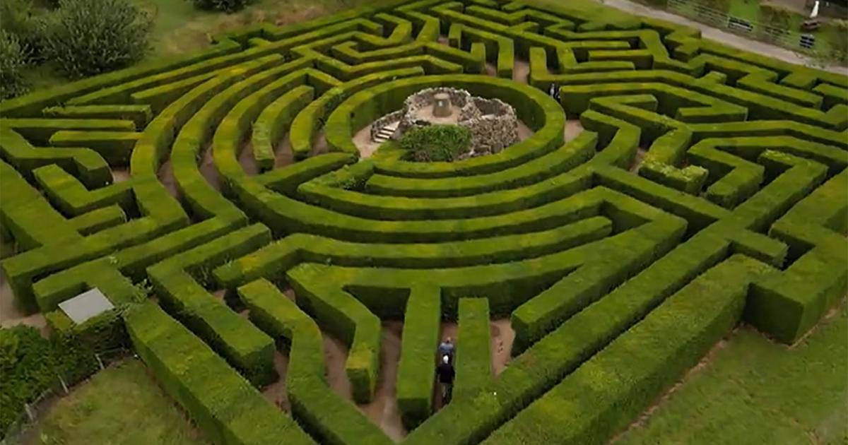 Master of mazes