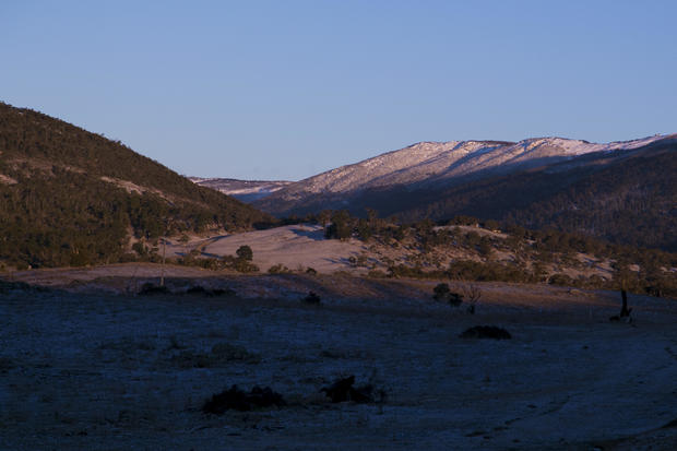 Woman found "dazed and injured" after surviving snake bite and multiple days in the wilderness