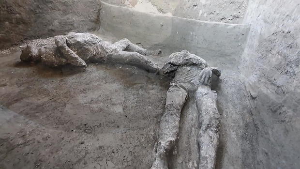 New DNA evidence at Pompeii reveals surprises about identities of Vesuvius eruption victims