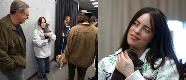 billie-eilish-backstage-wirth-puppies.jpg 