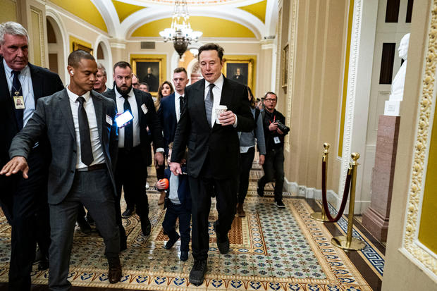 Elon Musk, Vivek Ramaswamy meet with lawmakers on DOGE plans