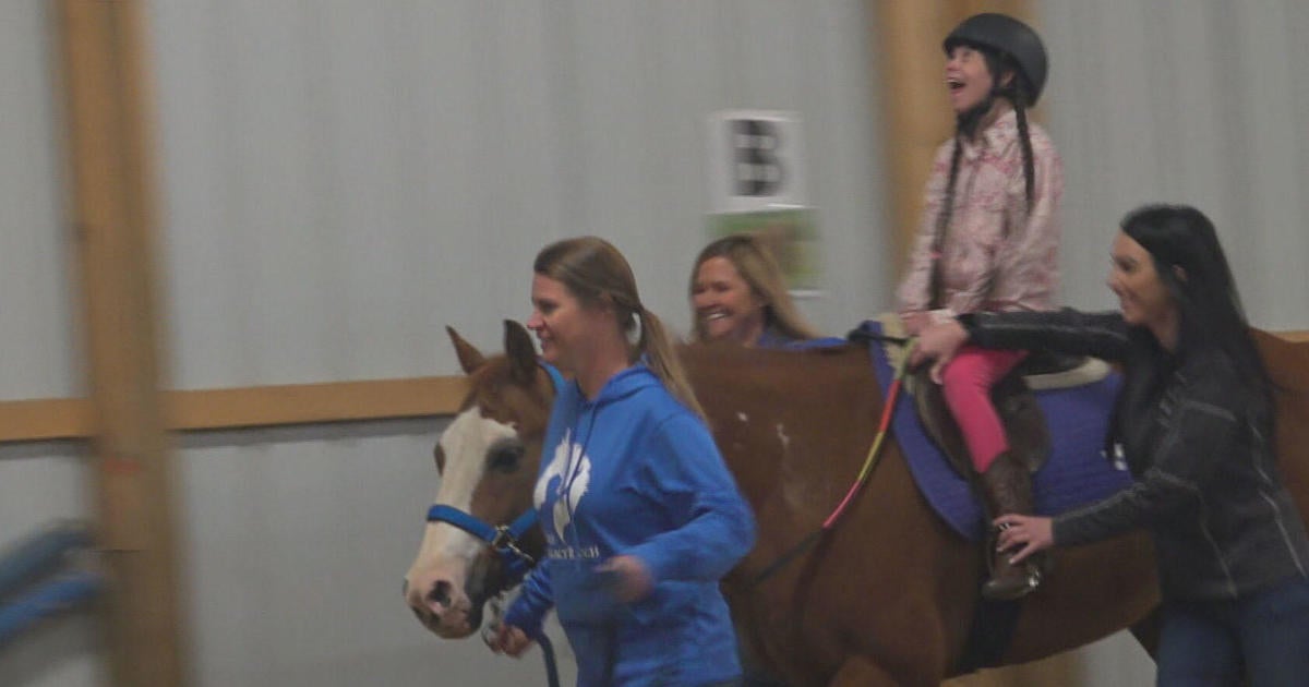 How horses are helping to heal people's mental and physical health