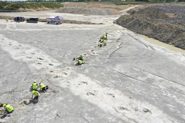 Biggest dinosaur footprint site in the U.K. discovered by researchers: "So surreal"