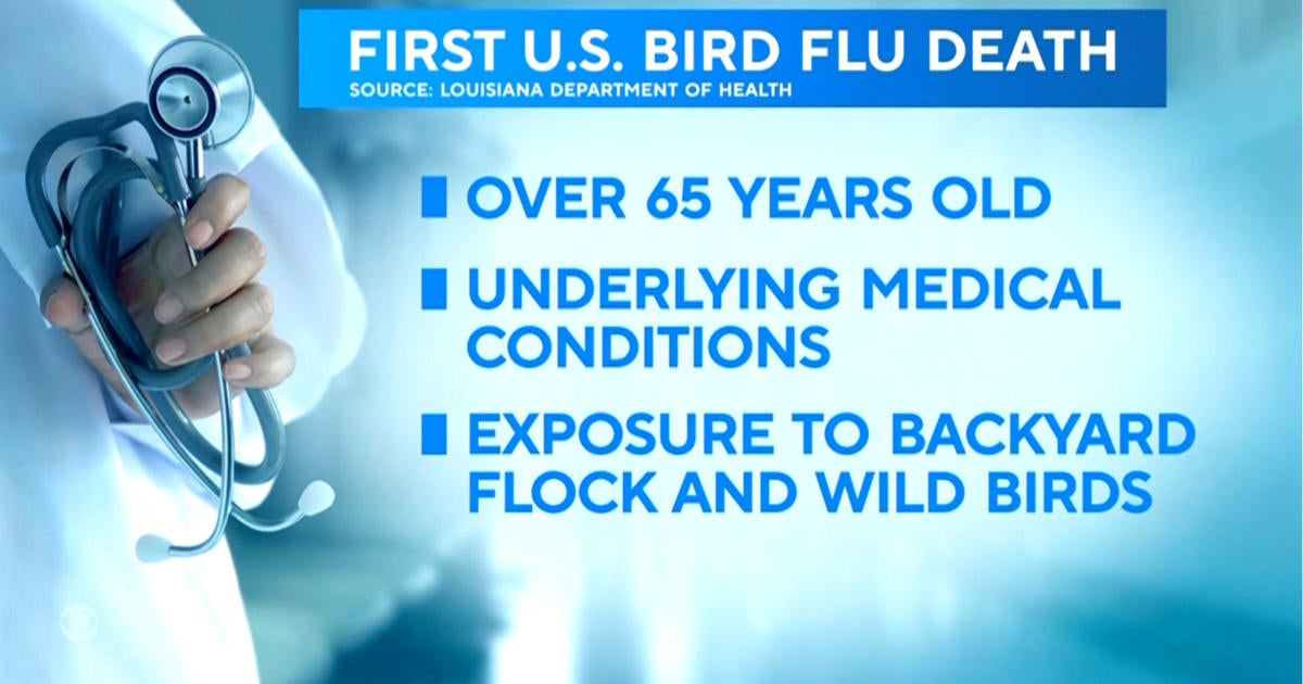 First bird flu death in U.S. reported in Louisiana