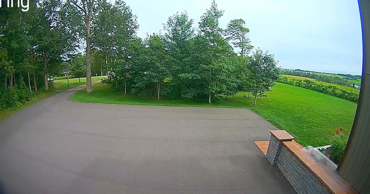 Meteorite crash landing captured on Ring doorbell