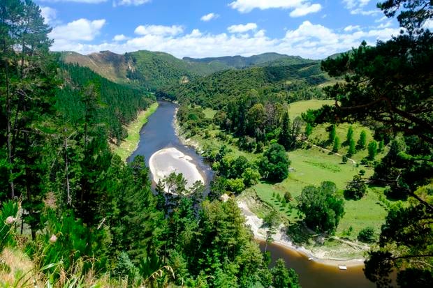 The Whanganui River near the entrance to Whanganui National Park, near Whanganui, North Island, New Zealand 