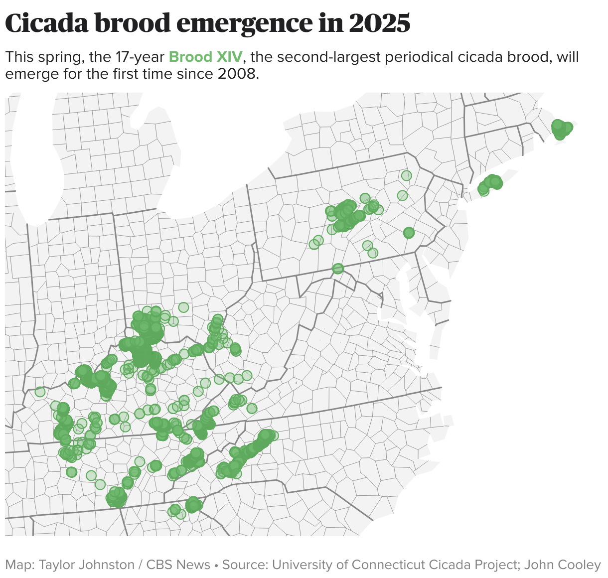 Cicada maps show where the noisy insects will emerge in the U.S. this spring