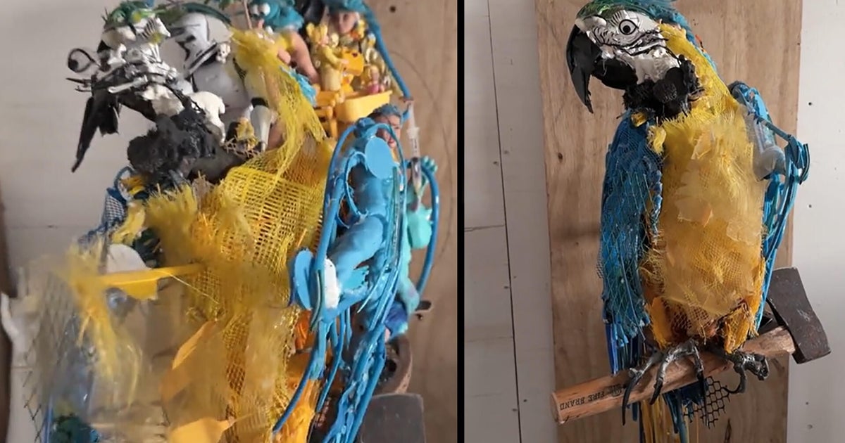 Creating art from trash