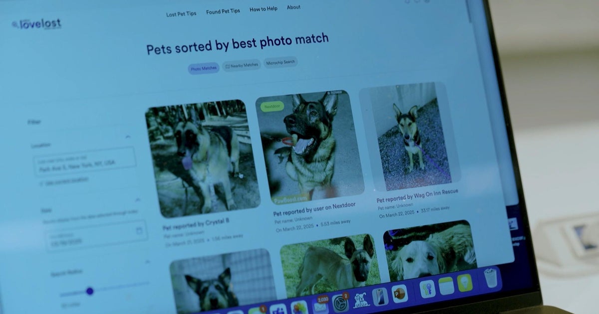 How AI technology is helping to reunite people with lost pets