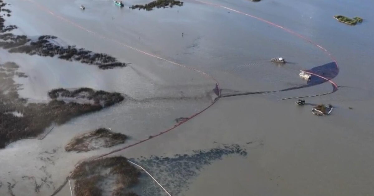 How DOGE cuts may impact response to oil spill off Louisiana