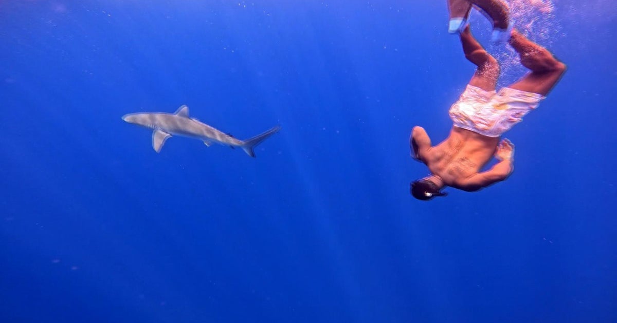 "Never Too Late": Nate Burleson faces his fear of sharks in cage-free dive