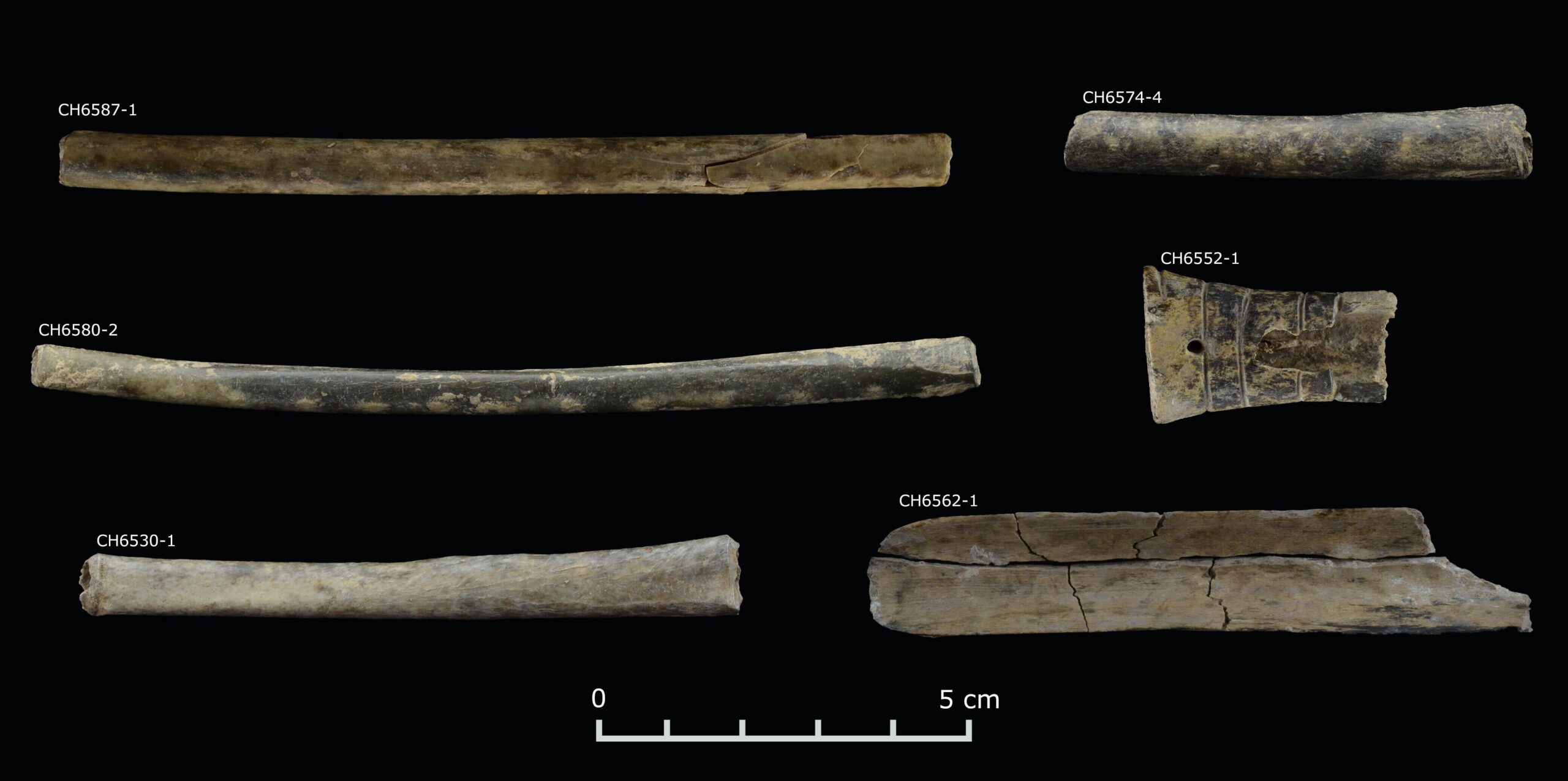 Study sheds new light on exclusive hallucinogenic drug rituals in ancient Peru
